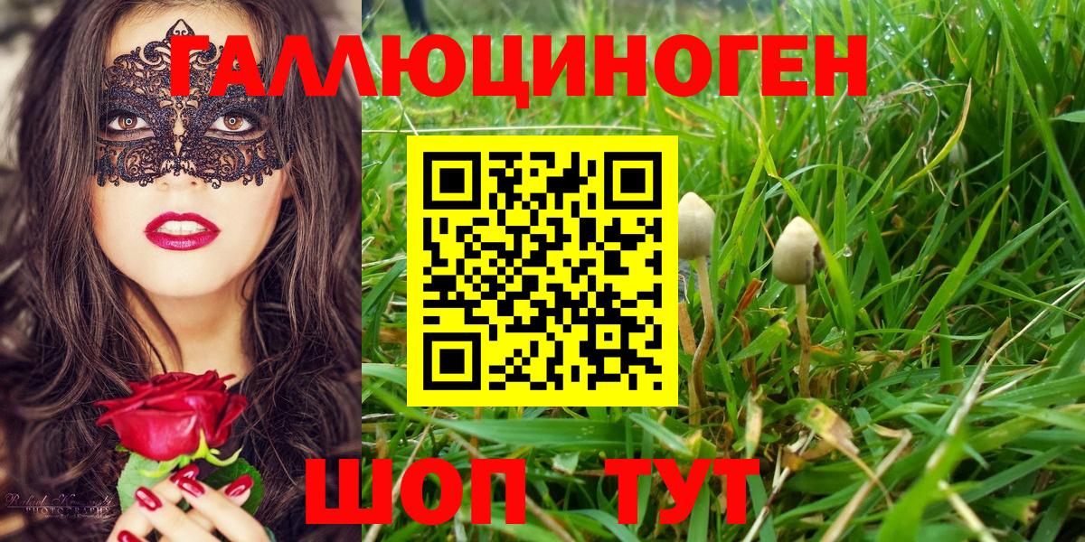 Мефедрон кристаллы  Cocaine  Конопля  Среднеуральск  ГАШ  Вход с VPN 