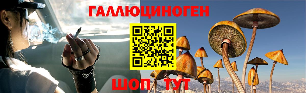 Галлюциногенные грибы Psilocybe Среднеуральск